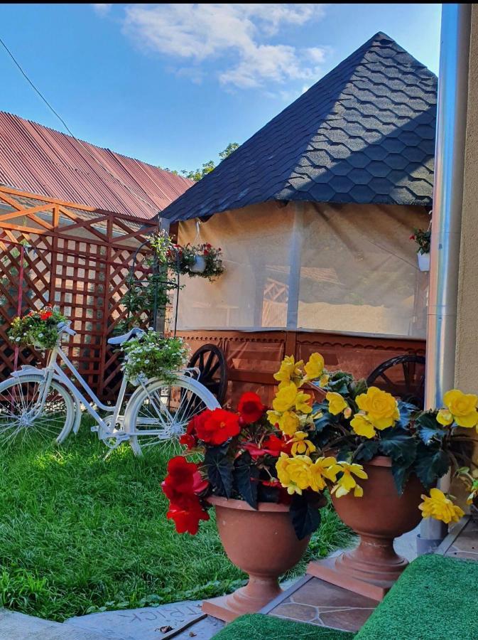 Casa Ardeleana Ucea Hotel Ucea de Sus ภายนอก รูปภาพ