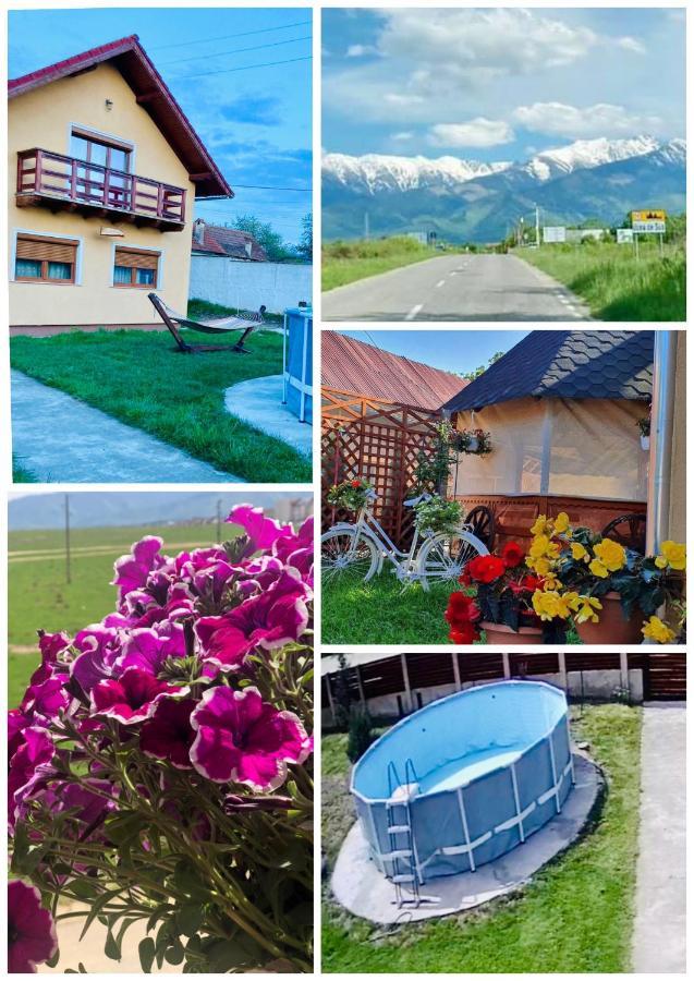 Casa Ardeleana Ucea Hotel Ucea de Sus ภายนอก รูปภาพ